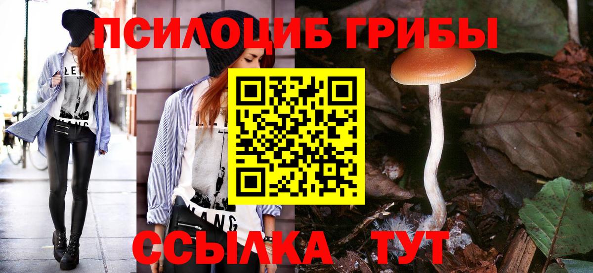 Псилоцибиновые грибы ЛСД  Вход с VPN  Галлюциногенные грибы Magic Shrooms  купить наркотики сайты  Кропоткин 